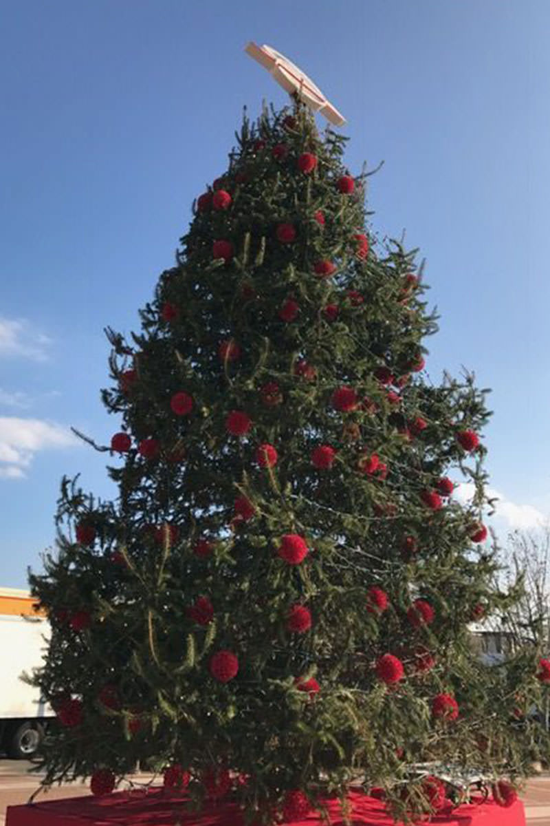 THEY DON'T CHOP DOWN THE TREE COOL FACTS ABOUT ONE LOUDOUN'S TREE